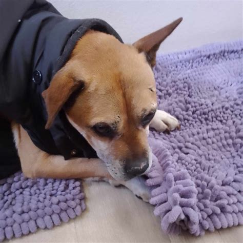 Happy Endings and Beginnings Newsletter Winter 2024 - Elayne Boosler's