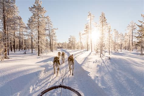 Reasons To Visit Lapland Finland Popsugar Smart Living