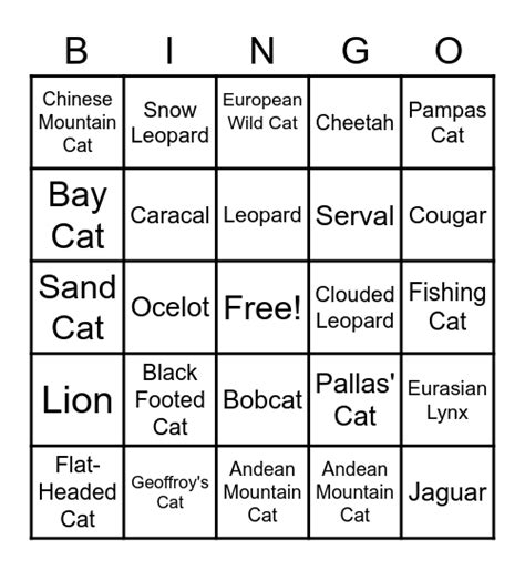 Cat Bingo Bingo Card