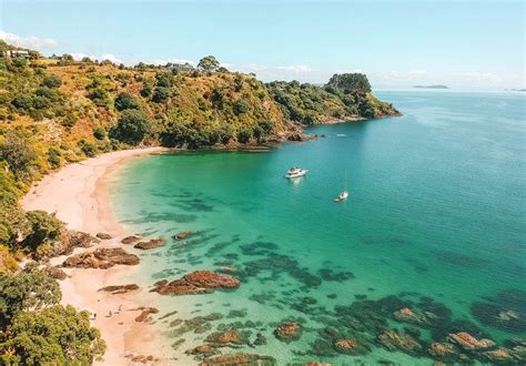 Things To Do On Waiheke Island The Ultimate Guide Ck Travels