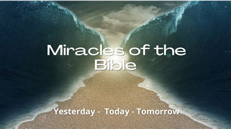 Miracles Of The Bible Aglow Muskegon