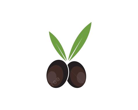 الزيتون رمز الشعار التوضيح النواقل نبات ورقة الفاكهة المتجه مصنع ورقة