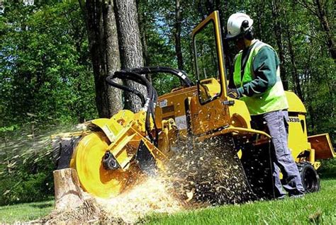How Much Stump Grinding Costs In 2024 Complete Pricing Guide