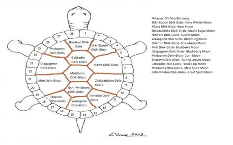 Thirteen Moons On A Turtles Back Ojibwe Calendar Waabanokwe