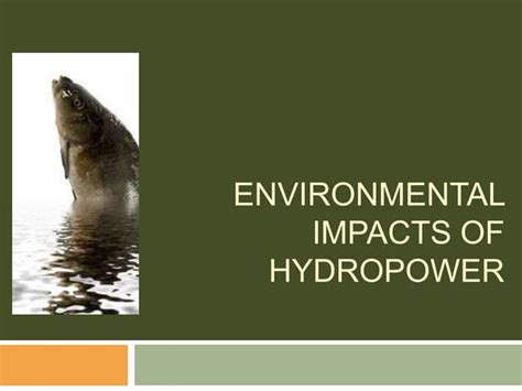 Environmental Impacts Of Hydroelectric Power Ppt