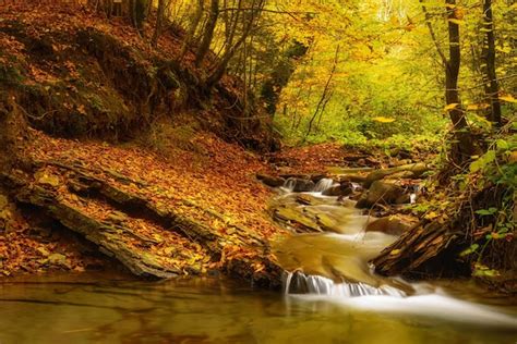 Premium Photo Autumn Mountain Waterfall