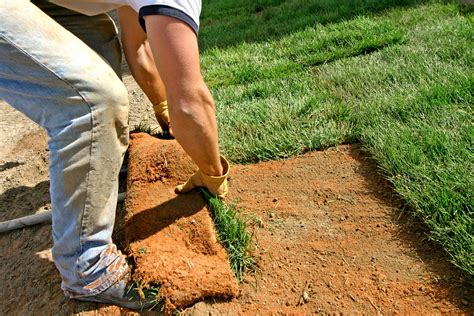 Spray an herbicide over the entire yard. How to Lay Sod to Start a New Lawn
