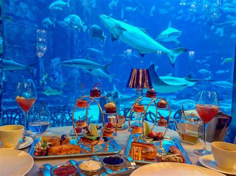 Dubai Palm Jumeirah Atlantis Aquarium Restaurant Afternoon
