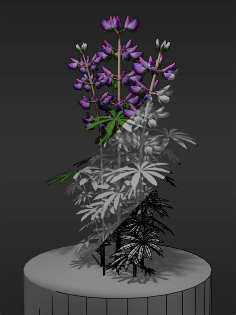 Elena Ff Riverbank Lupine High And Low Poly