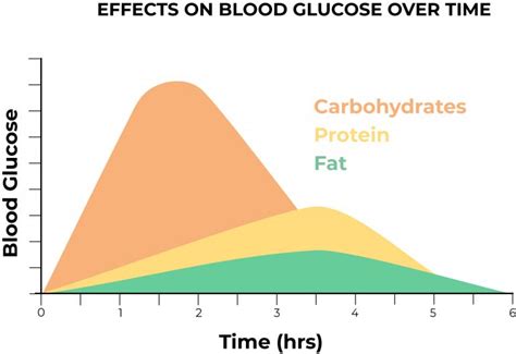 The Basics Of Blood Sugar Tasty Yummies