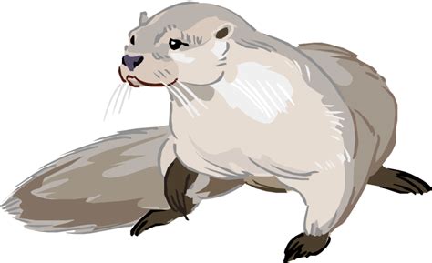 Otter Png Photo Png Svg Clip Art For Web Download Clip Art Png Icon