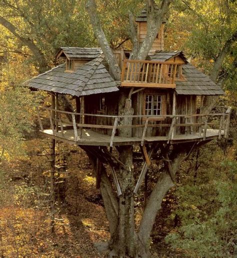 Beautiful Photos Of Tree Houses