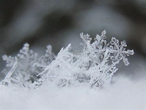 Snowflake Sculpture 3 Con Immagini