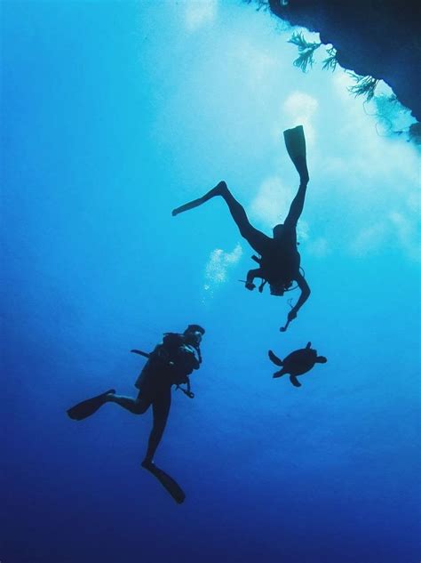 Scuba Diving And Water Sports In South Goa Package Scuba Goa Dive Centre