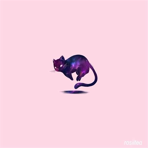 A Simple Galaxy Cat On The Center Of The Wallpaper