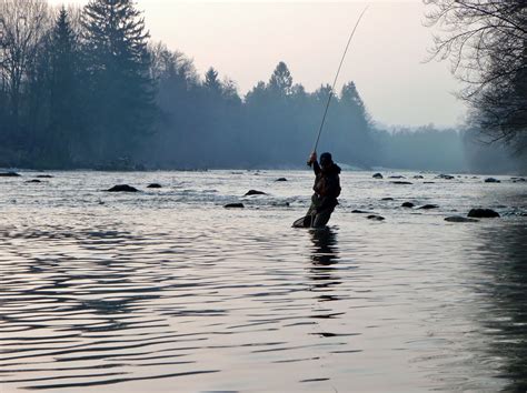 Fly Fishing for Beginners – A Complete Guide