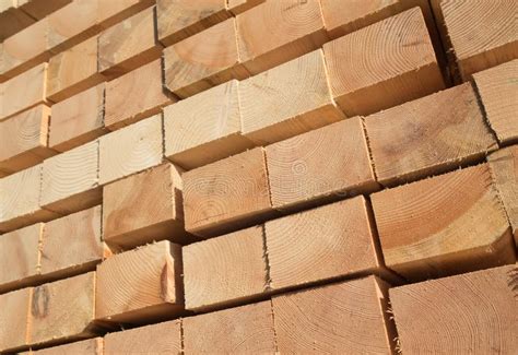 Fresh Wooden Studs Stock Image Image Of Lumber Estate 82721599