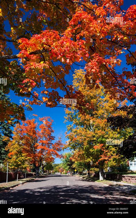 A Street With Fall Foliage Color In The Maple Trees In Bayfield