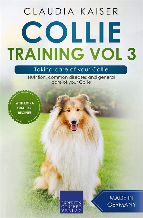 Collie Training Vol 3 Taking Care Of Your Collie Nutrition Common