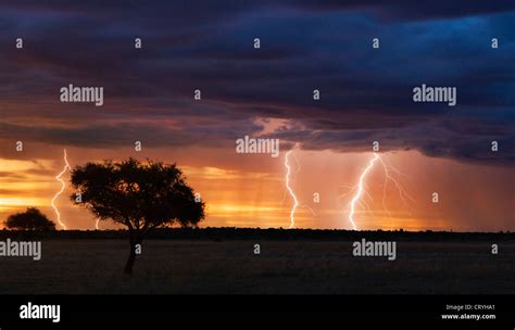 Thunder Storm With Lightning Bolts At Sunset Over Kalahari Pan Stock