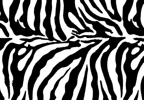 Free Zebra Print Background Vector - Download Free Vector Art, Stock ...