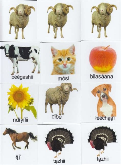 Navajo Language Memory Game