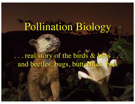 18pollination Real Story Of The Birds And Bees And Beetles Bugs Butterflies Bats Sexual