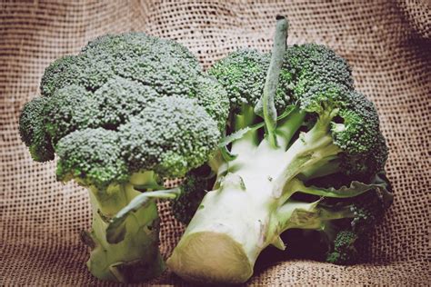 10 Beneficios Del Brócoli Para La Salud Tienda Bodylogic