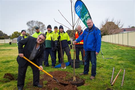 Urban Forest Tree Planting Held In Mooroopna Greater Shepparton City