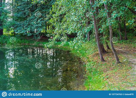 Picturesque Lake Among Green Trees Forest Pond Surrounded By Trees