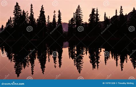 Lake Reflection With Silhouette Of Trees Stock Photo Image Of Dusk