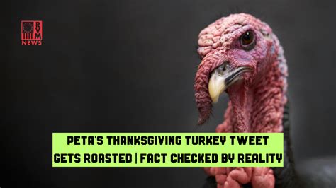 Petas Thanksgiving Turkey Tweet Gets Roasted Fact Checked By Reality
