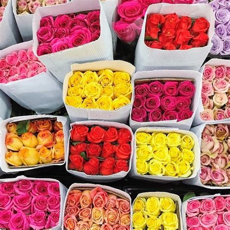 Fresh Cut Bulk Roses Wholesale To The Trade And Public From California