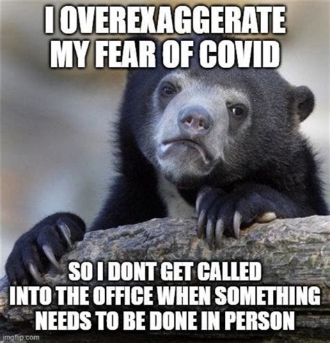 Working From Home Is Way Better Confession Bear Know Your Meme