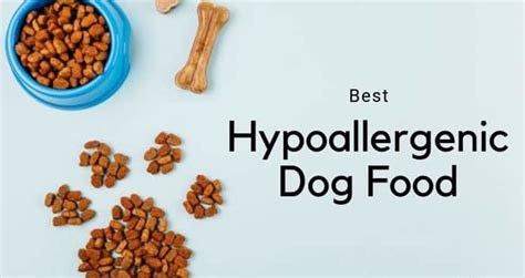 10 Best Hypoallergenic Dog Food Reviews 2020