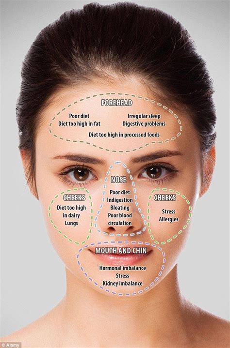 Face Mapping Your Acne And What It Means On Your Face Revealed Face