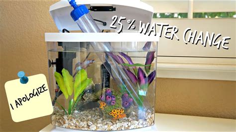 25 Water Changes How To Betta Youtube