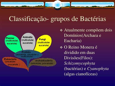 Ppt BactÉrias Powerpoint Presentation Free Download Id6043863