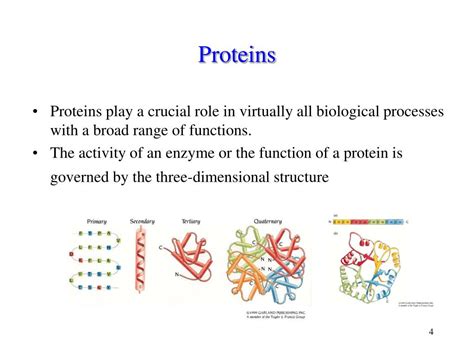 Ppt Protein Structure And Function Powerpoint Presentation Free 288