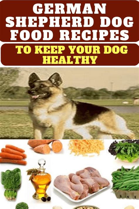If You Have Been Looking For Healthy German Shepherd Dog Food Recipes