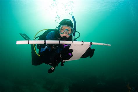 Meet Annie Crawleys Scuba Diving Team — Fiona Treacy — Edmonds