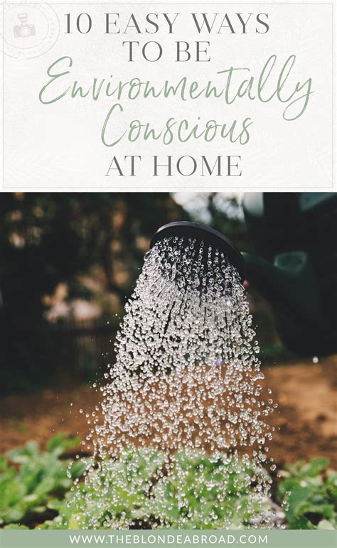 10 Easy Ways To Be Environmentally Conscious At Home • The Blonde Abroad
