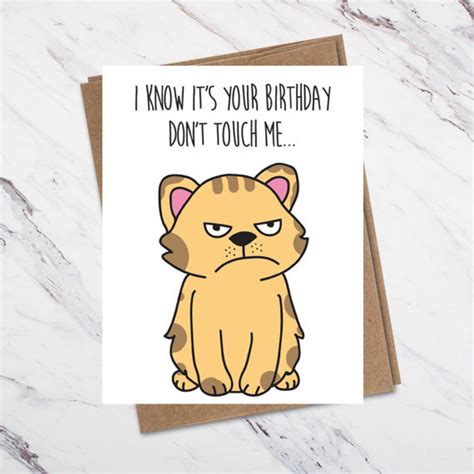 Angry Cat Birthday Card Grumpy Cat Cat Birthday Card Etsy