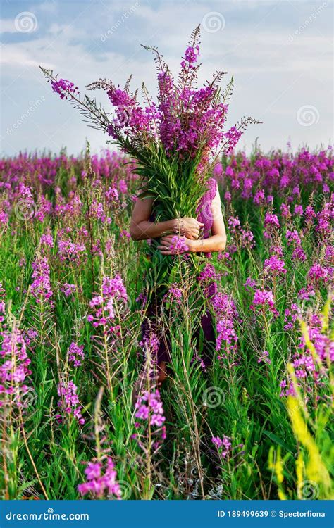 Young Woman Holding The Bouquet Of Pink Flowers Pink Ivan Tea Or