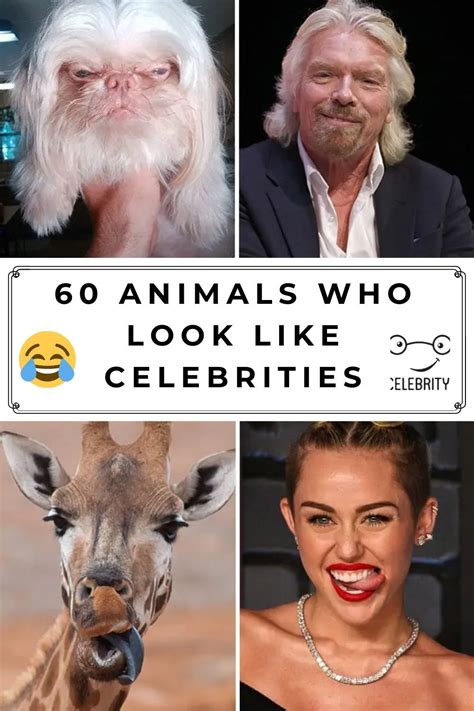 60 Animals Who Look Like Celebrities Funny Omg Amazing Hacks