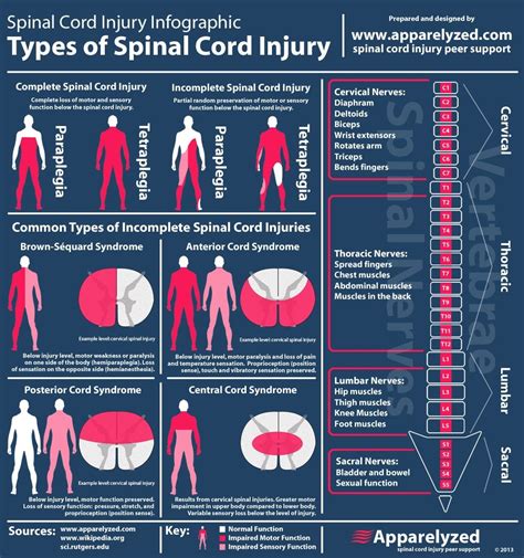 Understanding Spinal Injuries Spinal Cord Injury Physical Therapy