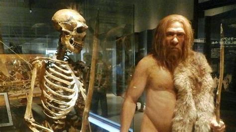 Neanderthals Were Not The Brutish Cavemen We Often Depict Them To Be