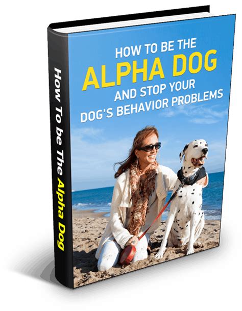 Alpha Dog Report