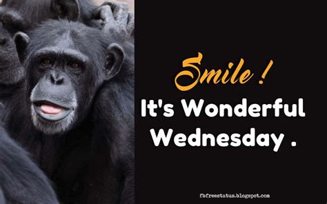 Smile Its Wonderful Wednesday Happy Wednesday Funny Wednesday