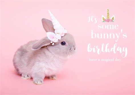 Funny Happy Birthday Memes Bunny